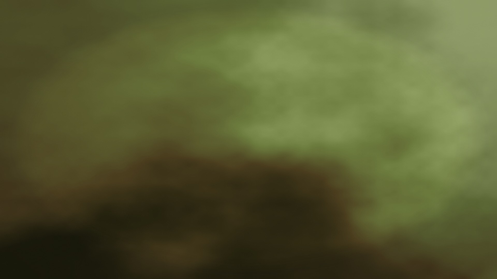 Forest Umber wallpaper