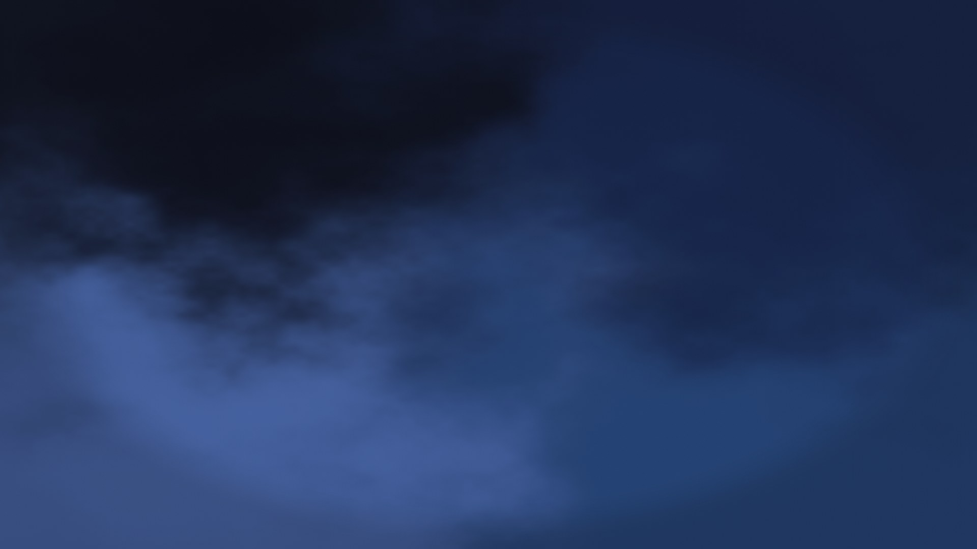 Midnight Bloom wallpaper