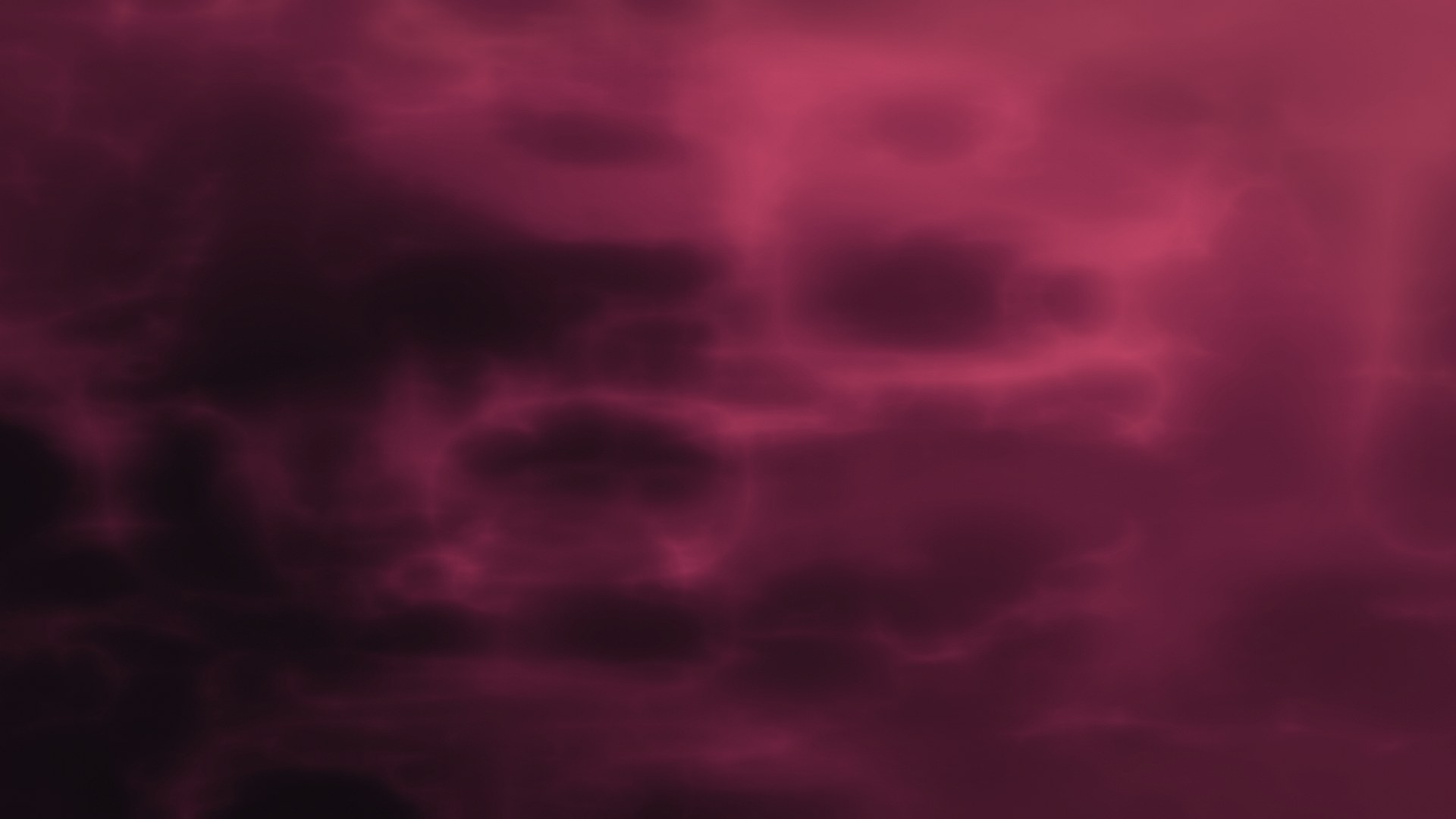 Wine Bloom wallpaper